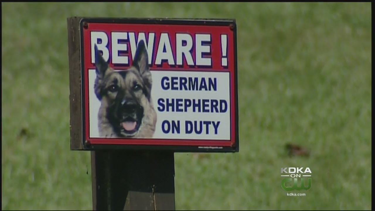 Local Singer Recovering After Brutal Dog Attack in Penn Township