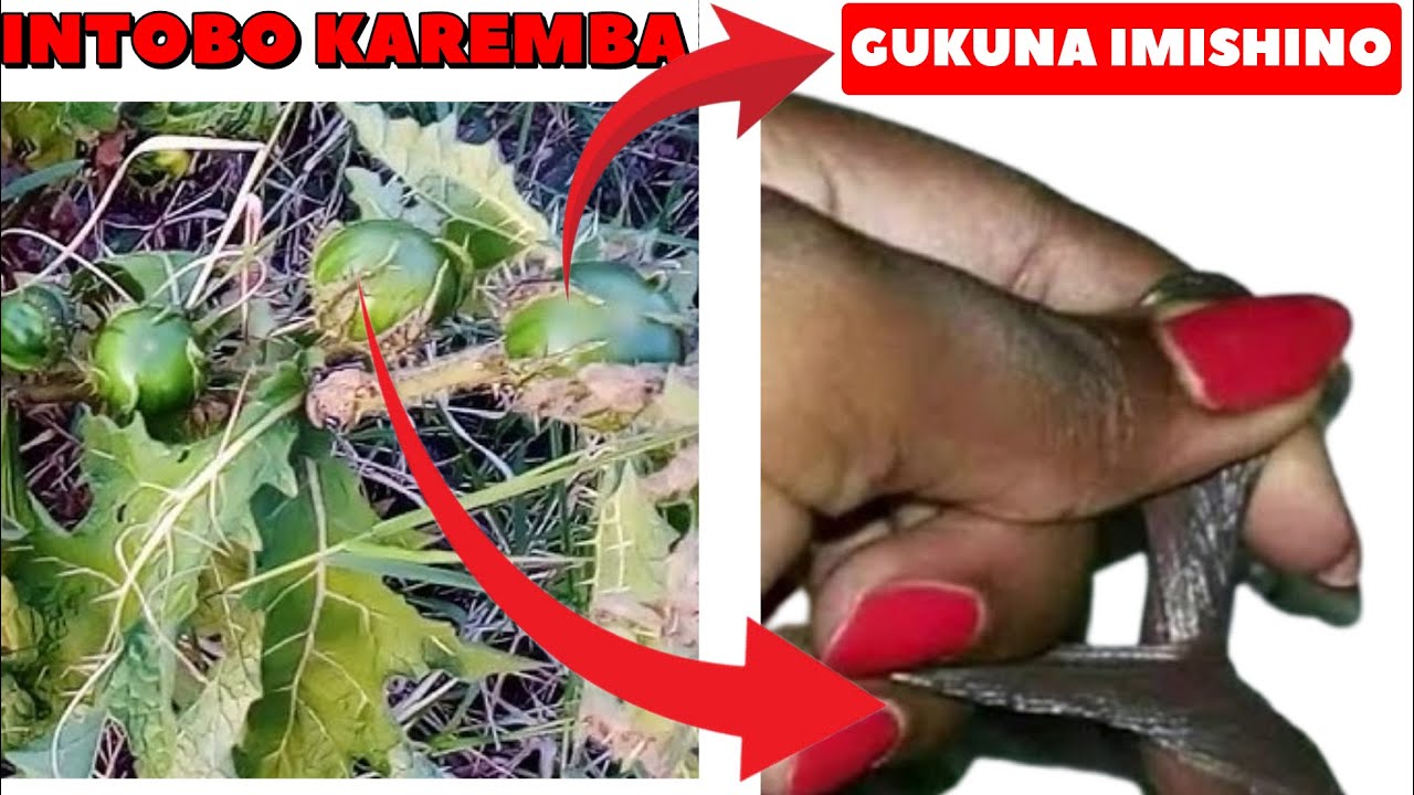 UBURYO INTOBO KAREMBA IKORESHWA MU GUCA IMYEYO (GUKUNA IMISHINO)
