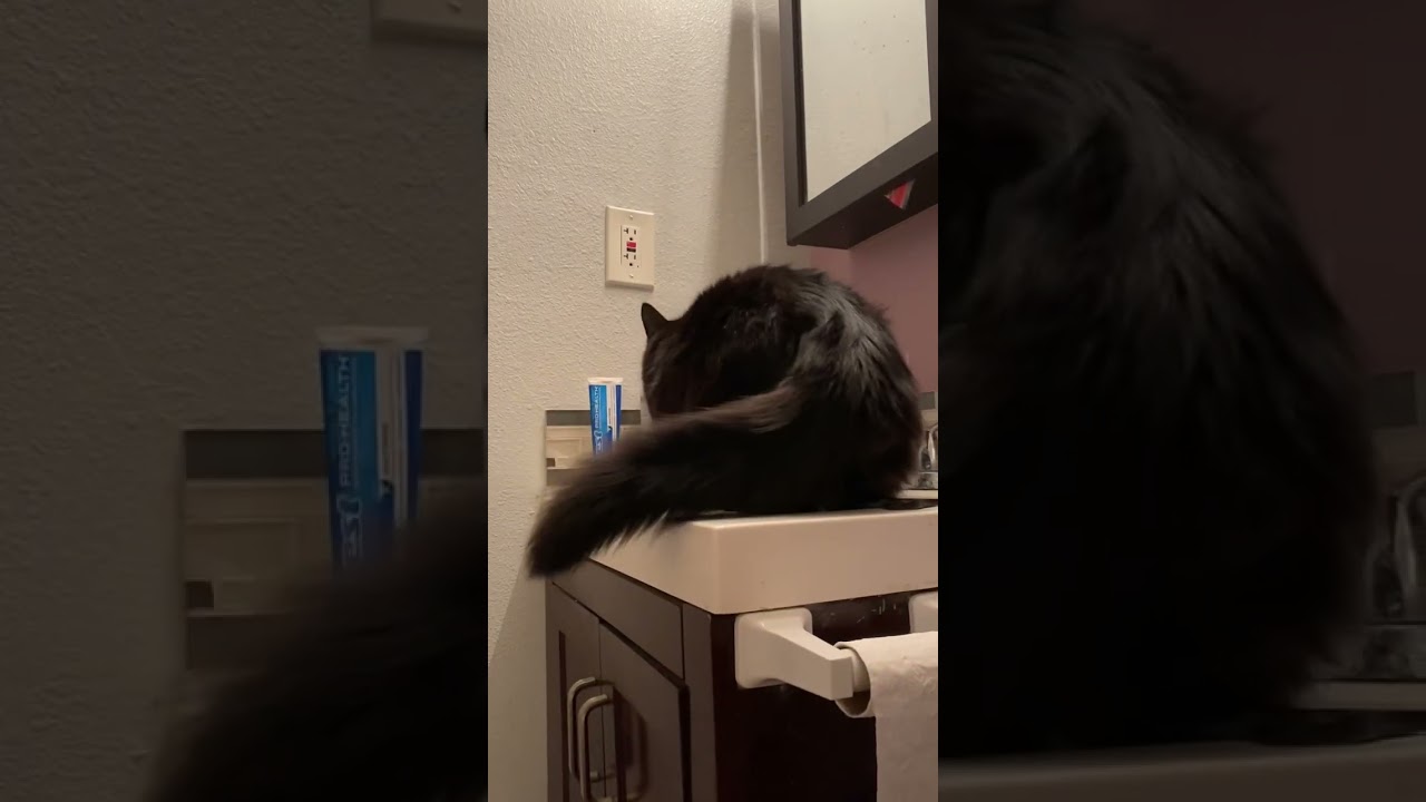 Bruh get off our sink! You have gross feet! 