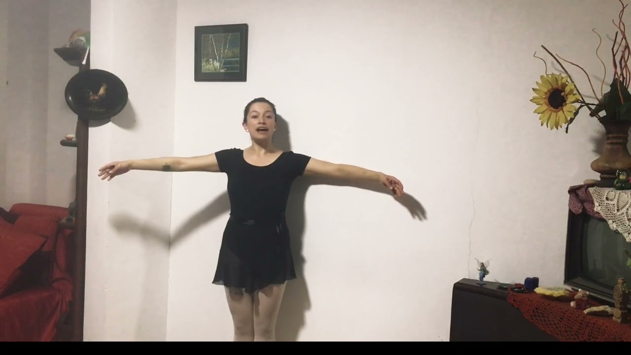 Brazos y Pies . Escuela francesa e italiana (Cecchetti)