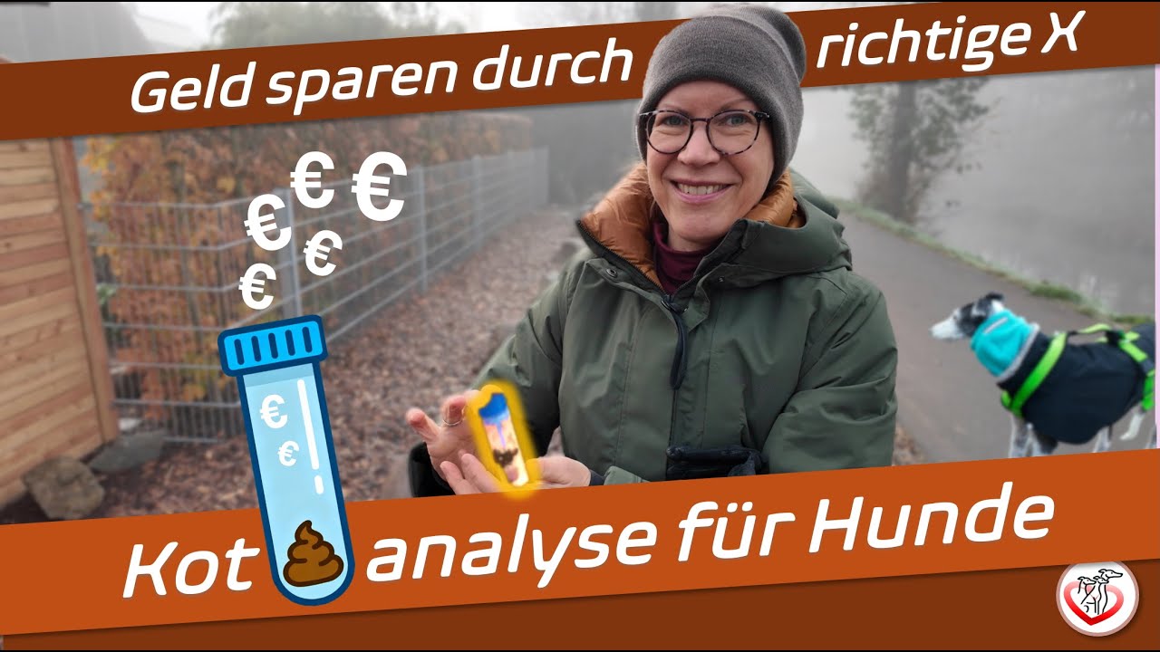 Kotanalyse beim Hund: Die richtigen Kreuze helfen Geld zu sparen!