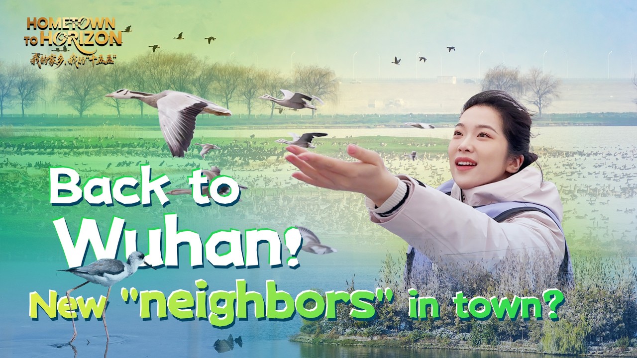 Back to Wuhan! New 