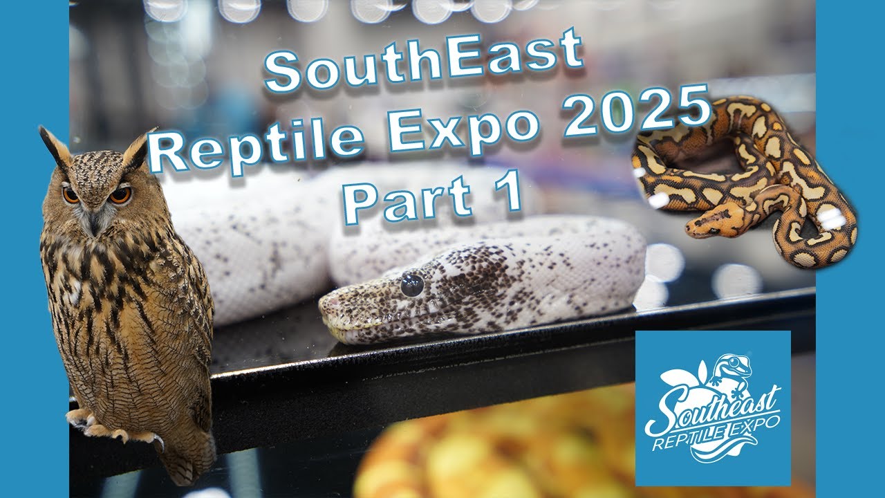 Southeast Reptile Expo Day 1!!