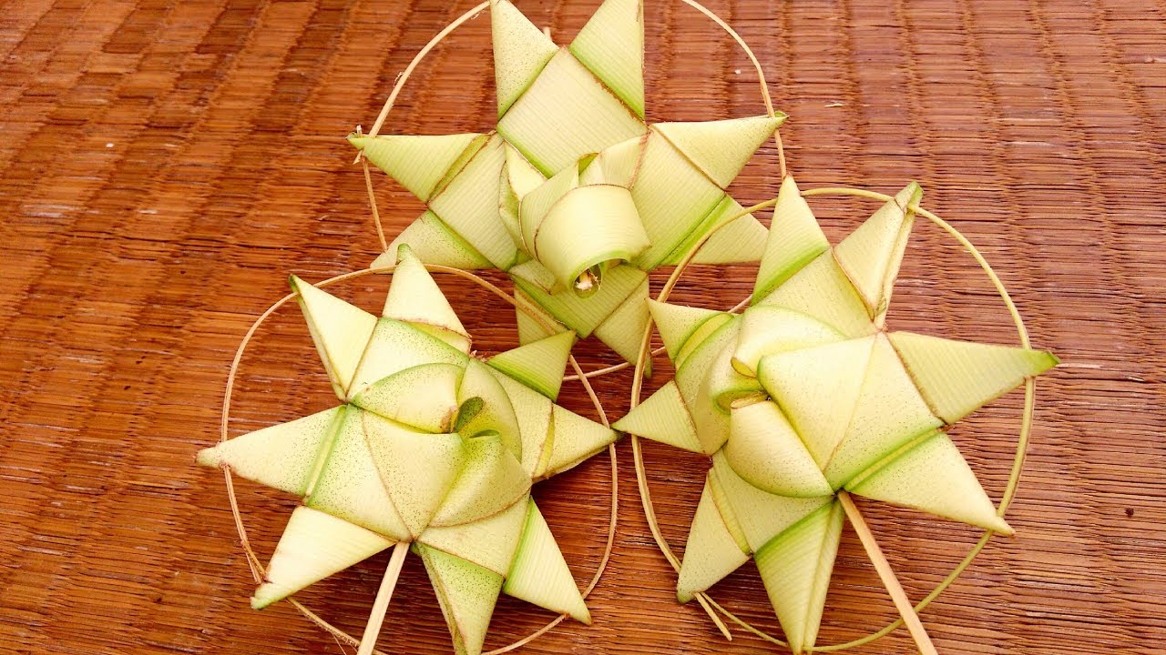 How to make a palm start flower (coconut tree leaf)