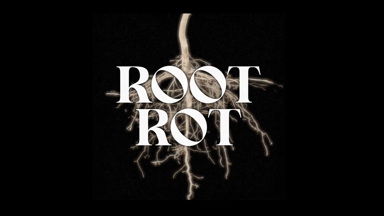 ROOT ROT BY ALAINA SEQUEIRA