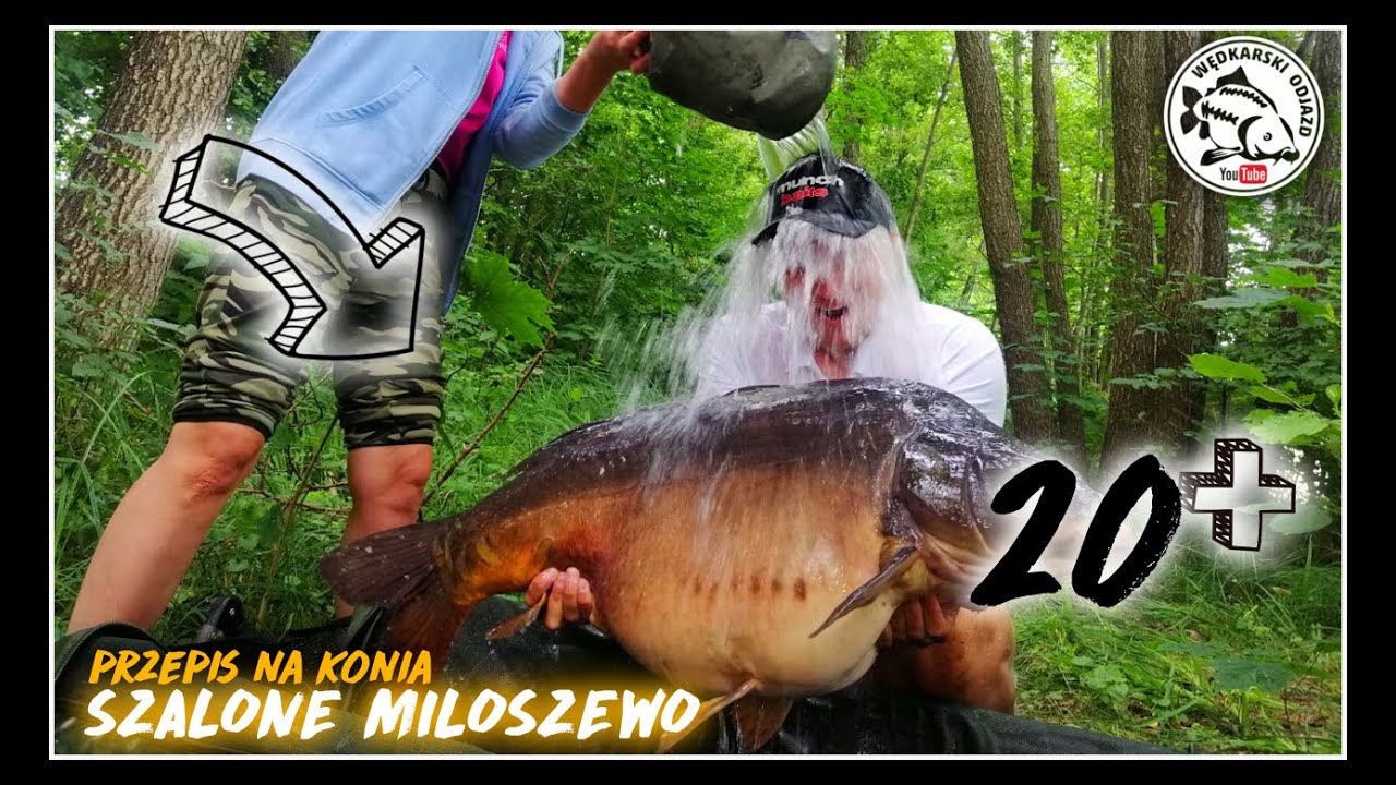 #70 Jak ZŁOWIĆ Karpia 20+ w 24 h / Jezioro MIŁOSZEWSKIE / Nowe PB / Stanowisko 33 & 32