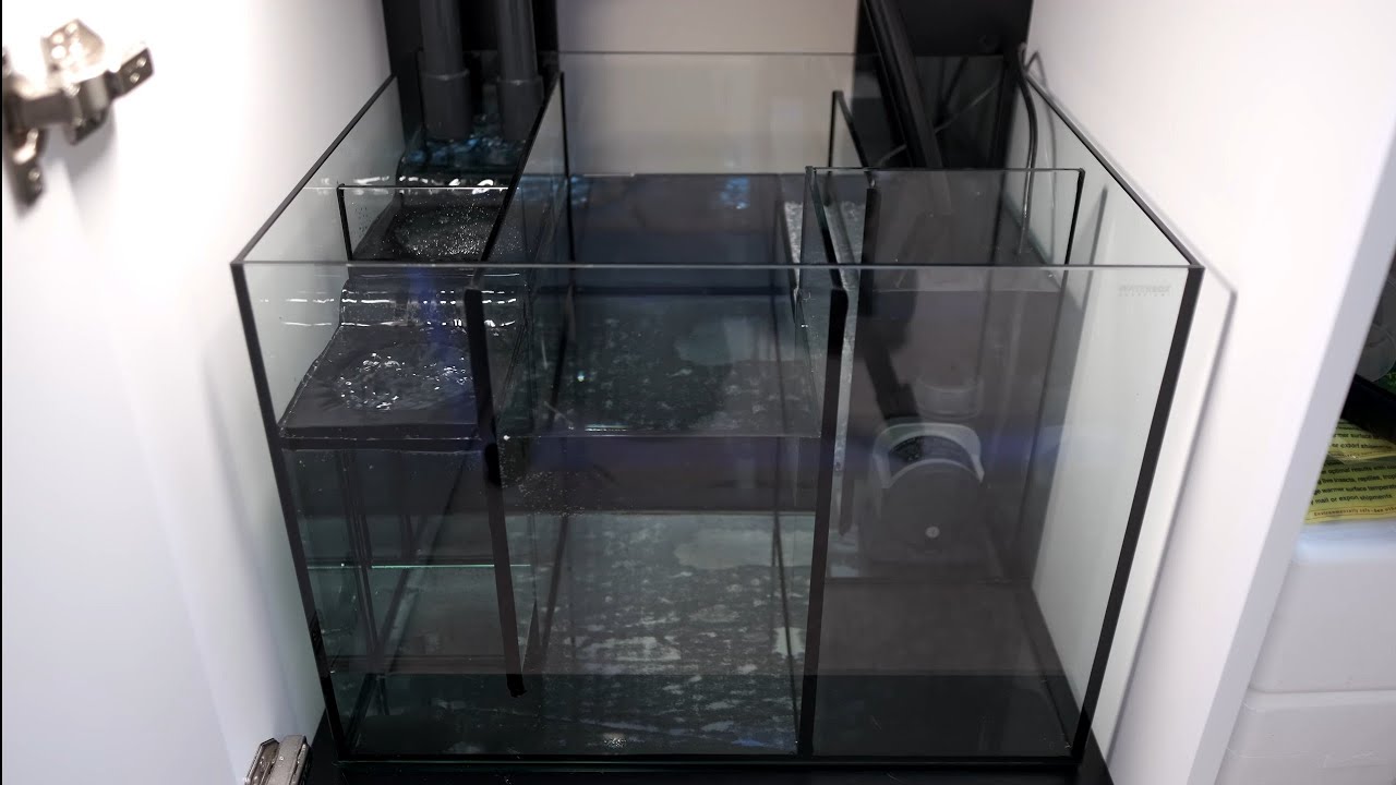 Waterbox Aquariums Sump Review/Tour