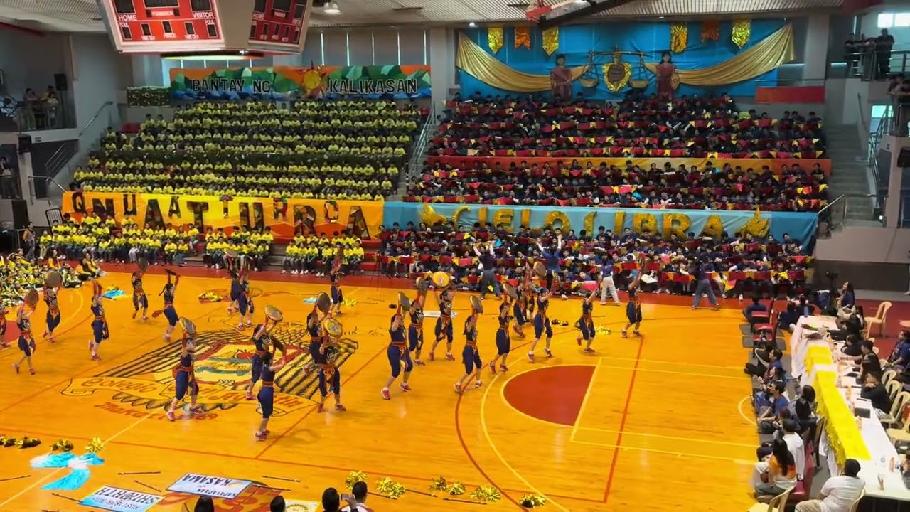 CIELO LIBRA GRADE 6 CSA