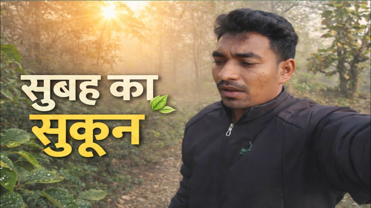 सुबह का सुकून | Early morning in Forest #forest #vlog 