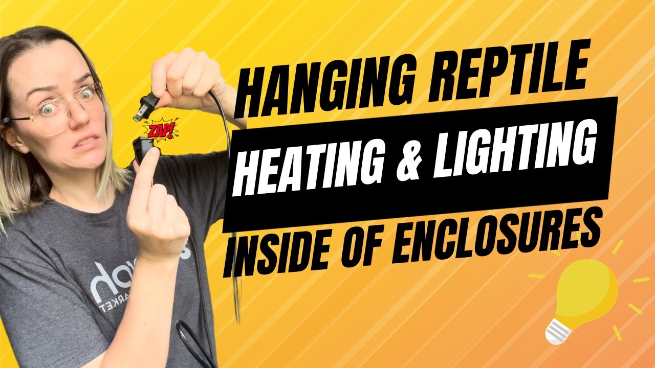 How to Hang Heating & Lighting in Reptile Enclosures!