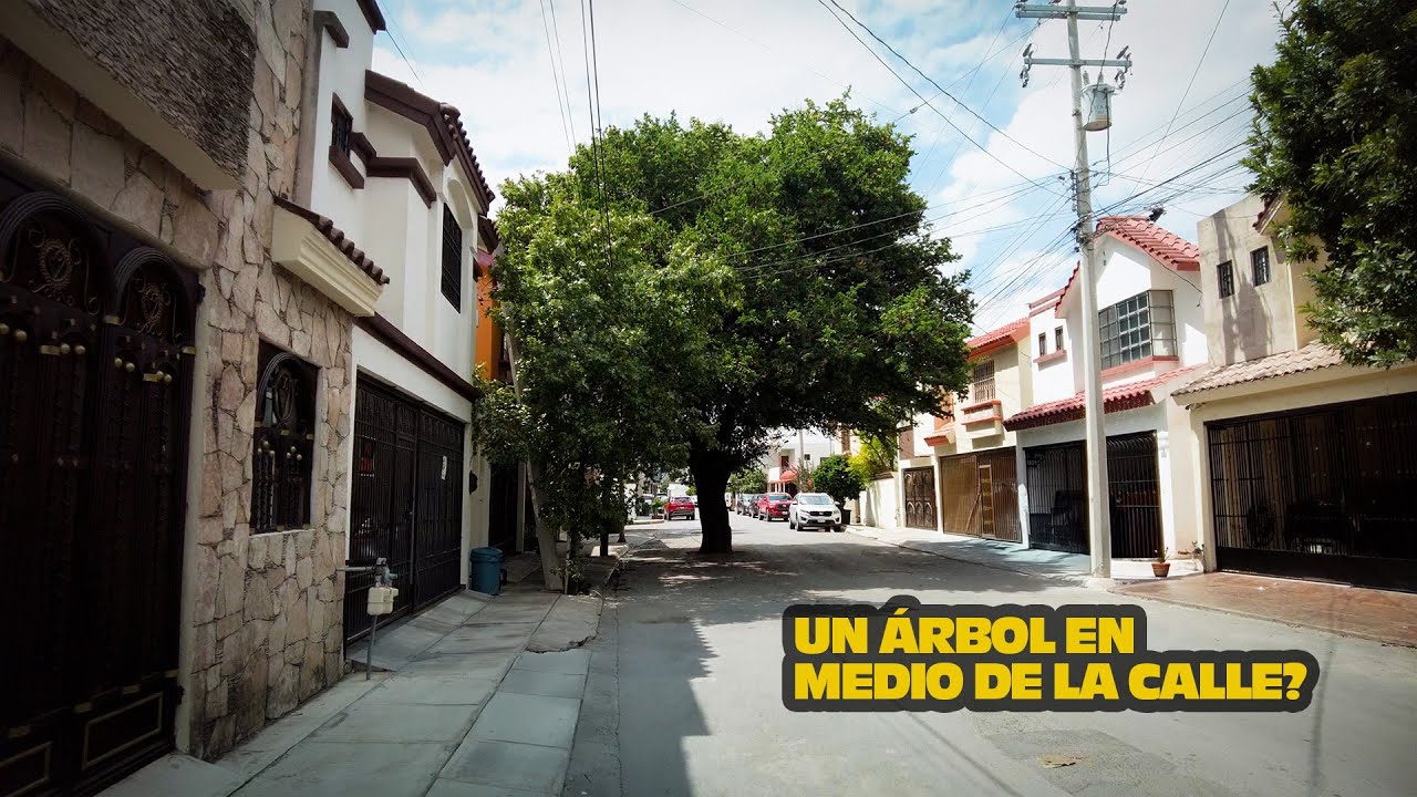 Las CALLES MÁS IMPRESIONANTES de MONTERREY 😱🌳