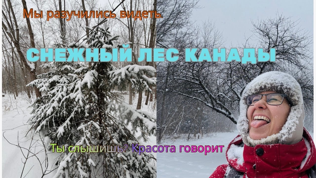 СНЕЖНЫЙ ЛЕС Канады и КРАСОТА, которую мы игнорируем