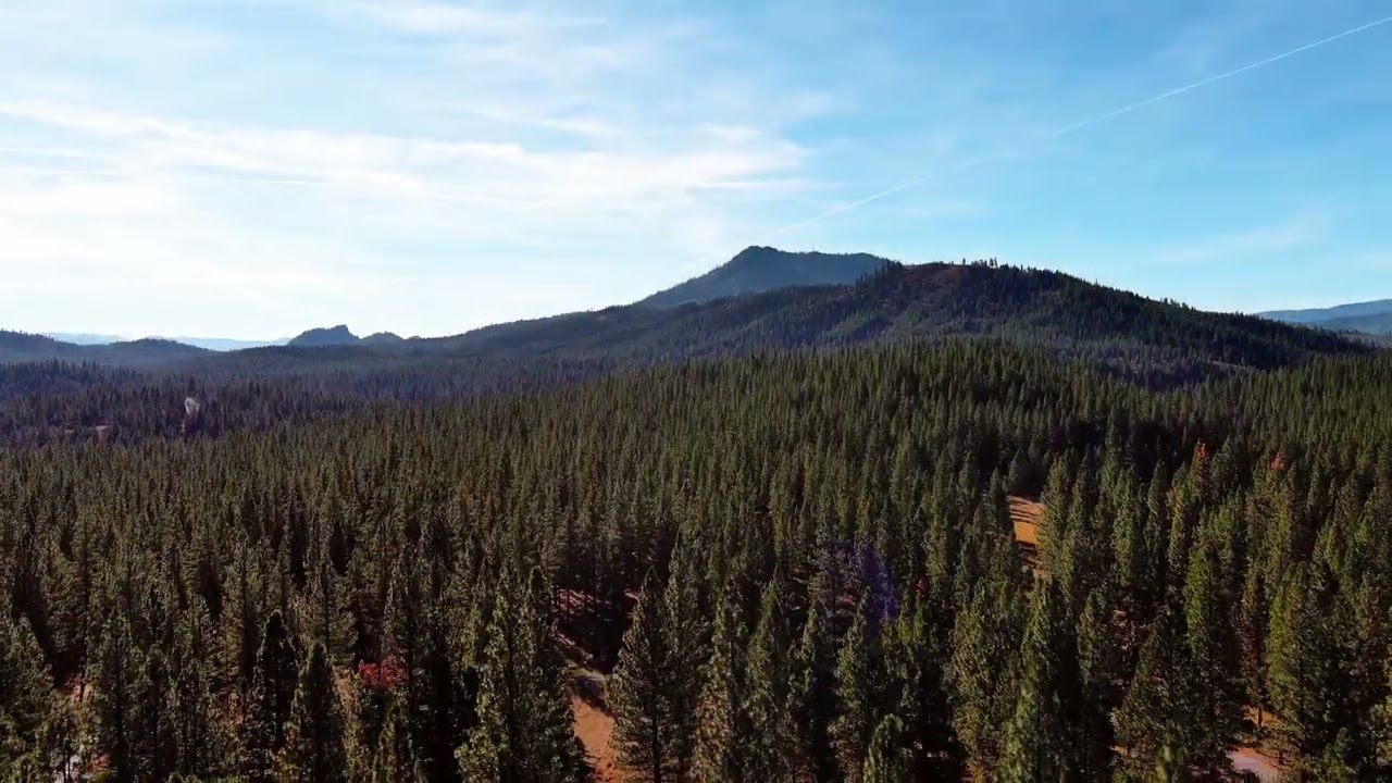 Sierra Nevada Journeys Aerial of Camp