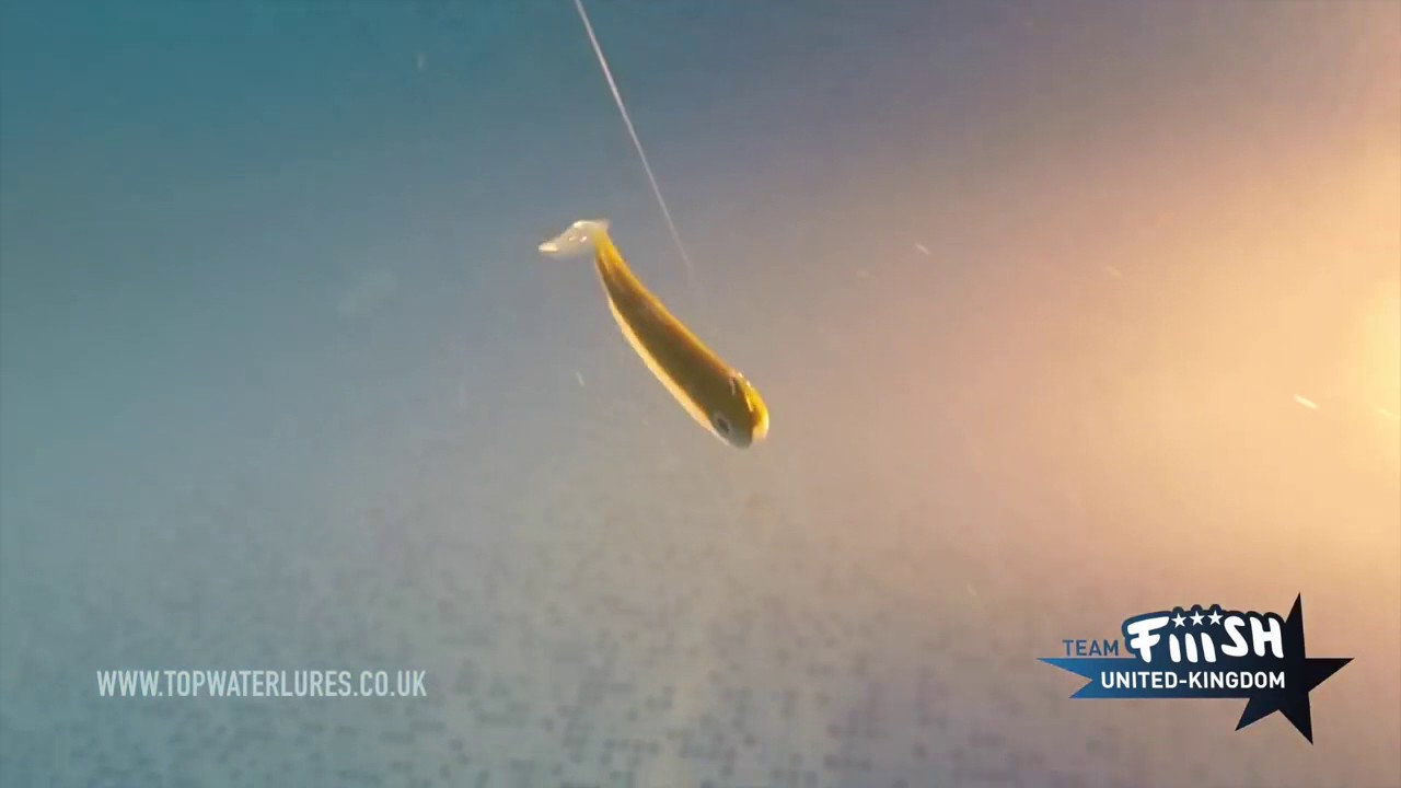 Fiiish Black Minnow Aksiyonları