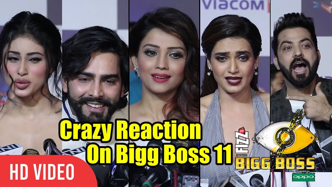 Bigg Boss 11 Crazy Reactions | Bigg Boss EX Contestants And TV Celebrities Reaction On Bigg Boss 11
