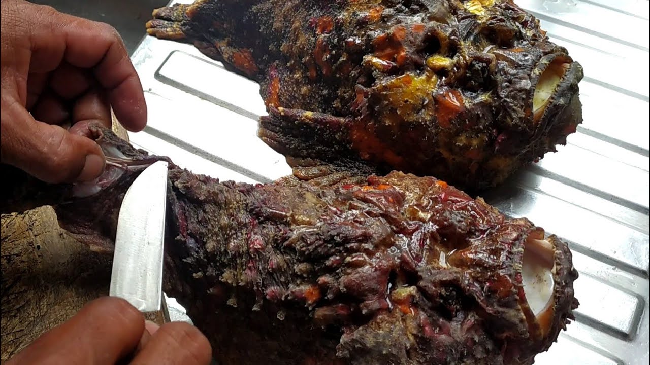 Catch and Cook - Live Seafood STONEFISH, IKAN BATU PALING BER∆CUN DI DUNIA