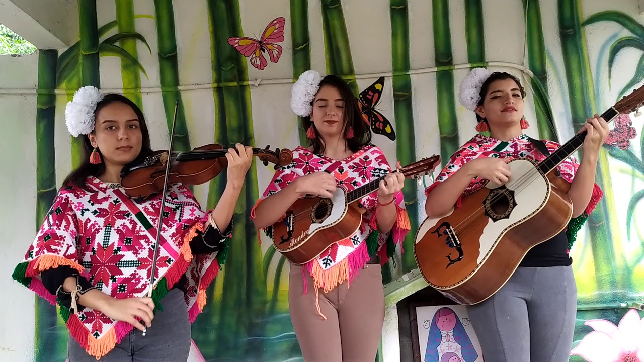 Vida y Son 2020 - Mariposas Huastecas - Tenek Lem - LA PETENERA