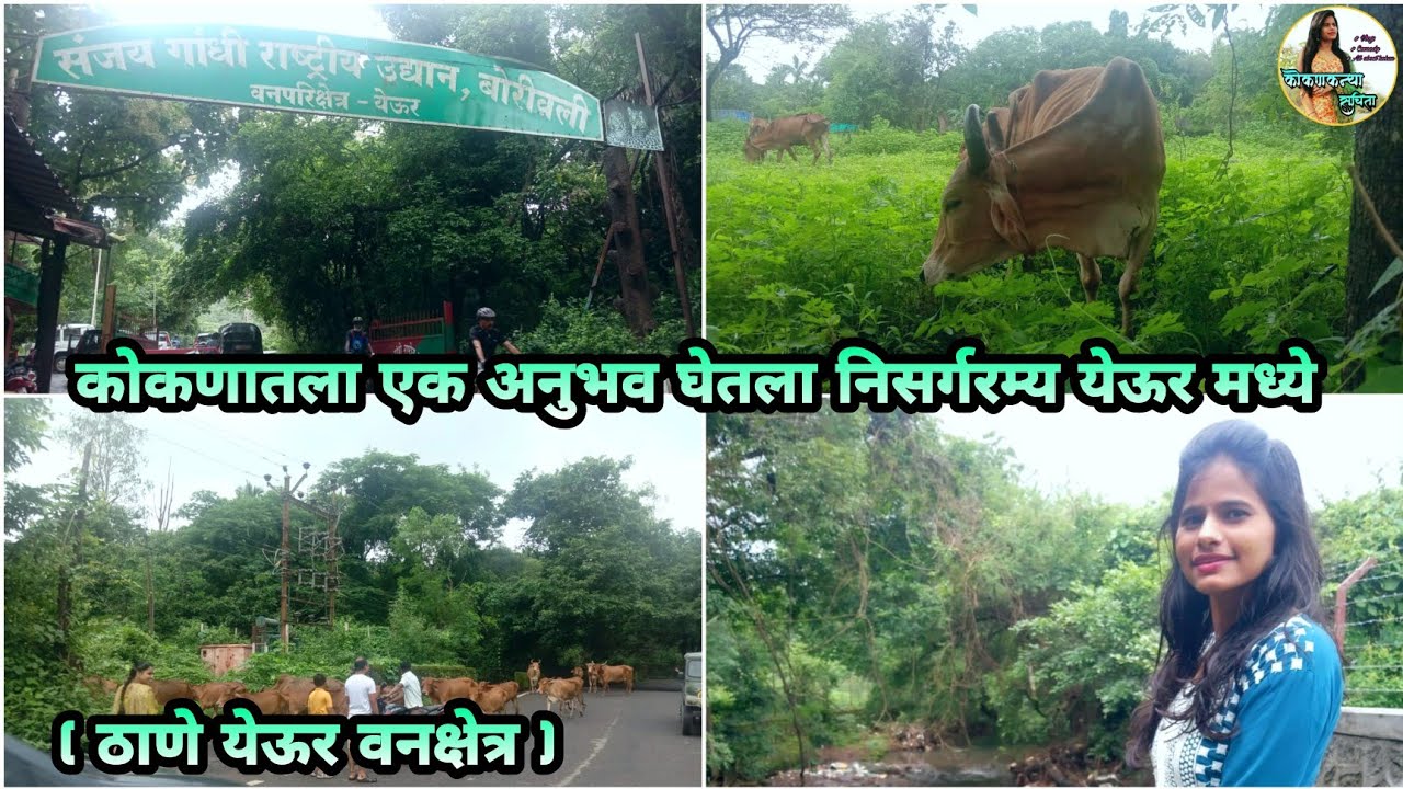 Yeoor Hills in Thane City Picnic Point / कोकणचा अनुभव घ्यायचा आहे तर नक्की ठाण्यात येऊर् ला भेट द्या