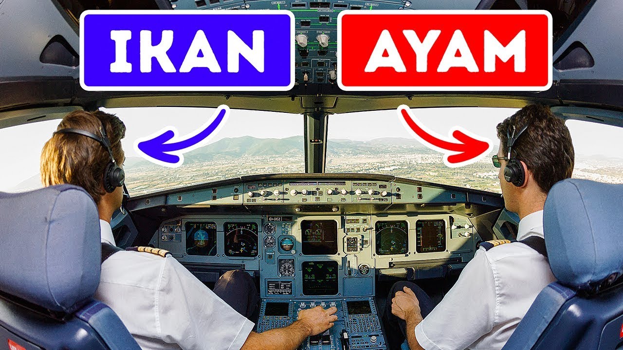16 Fakta Mengejutkan yang Jarang Pilot Sampaikan