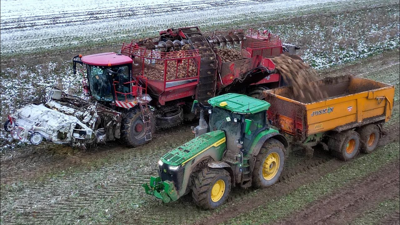 Holmer Terra Dos T4 40, John Deere 8R 340 | vyorávanie cukrovej repy