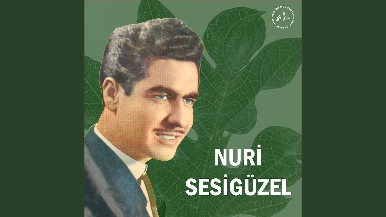Ağlayan Gözlerim Gülmüyor Gayrı