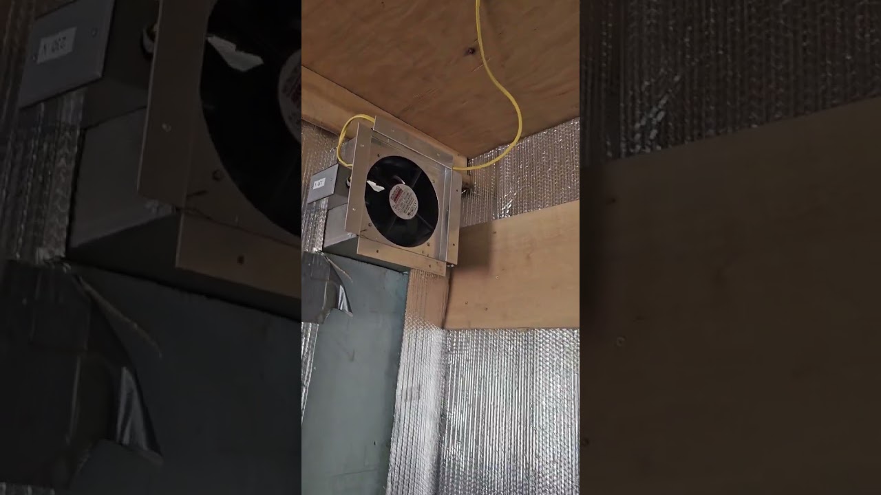 Woodmizer KD250 Kiln Drying System with Cargo Container Set-up.