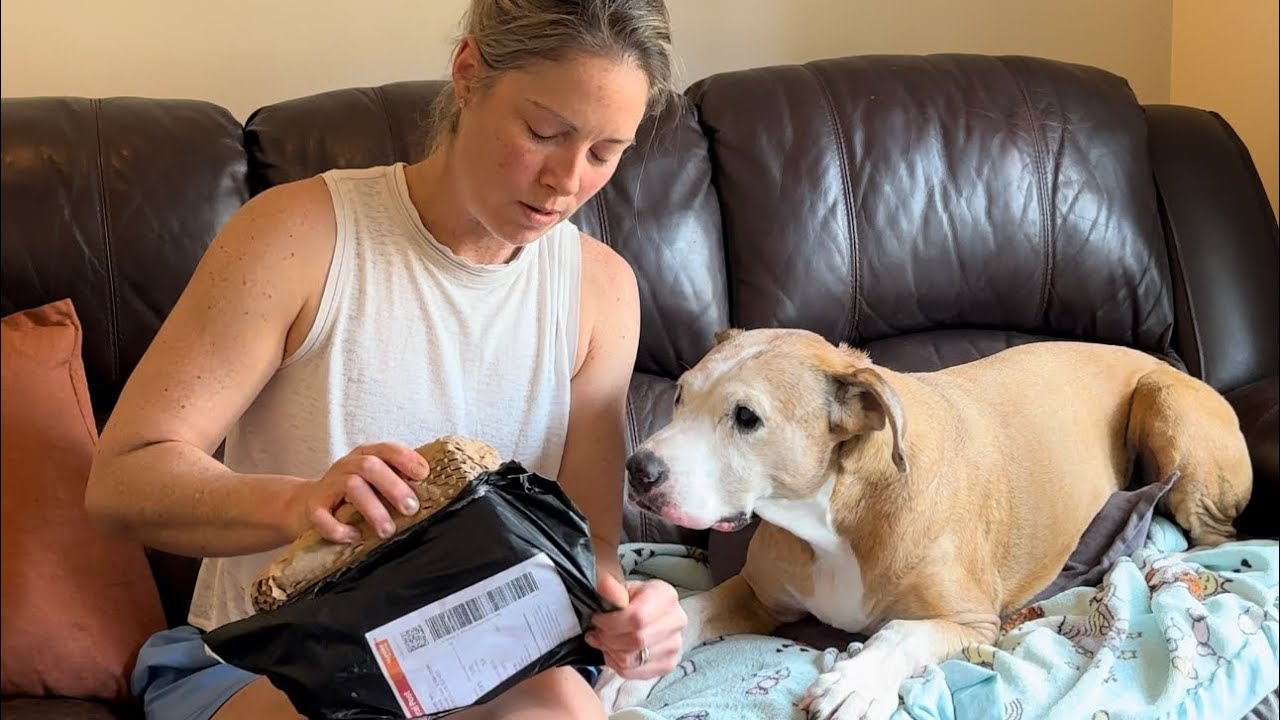 Unboxing Rex Specs Dog Goggles &ndash; Here's Why My Dog Needs Them!