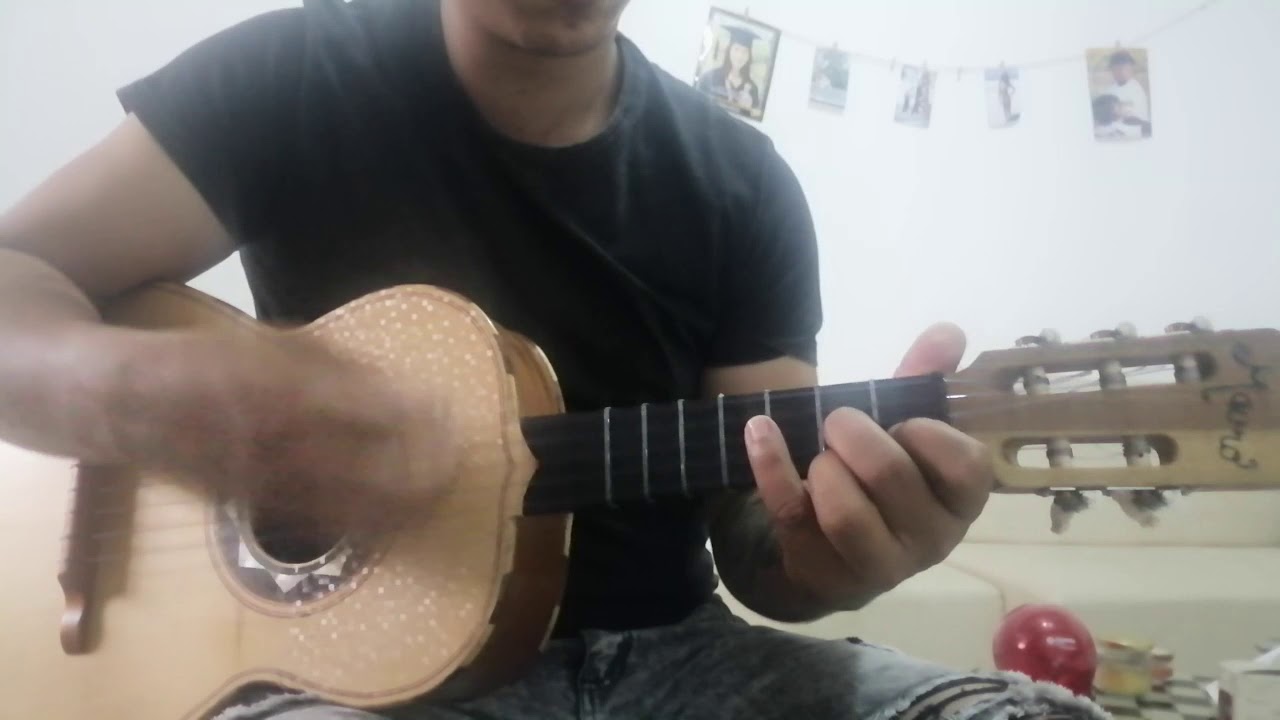 Mi viejo, Vicente Fernández vihuela