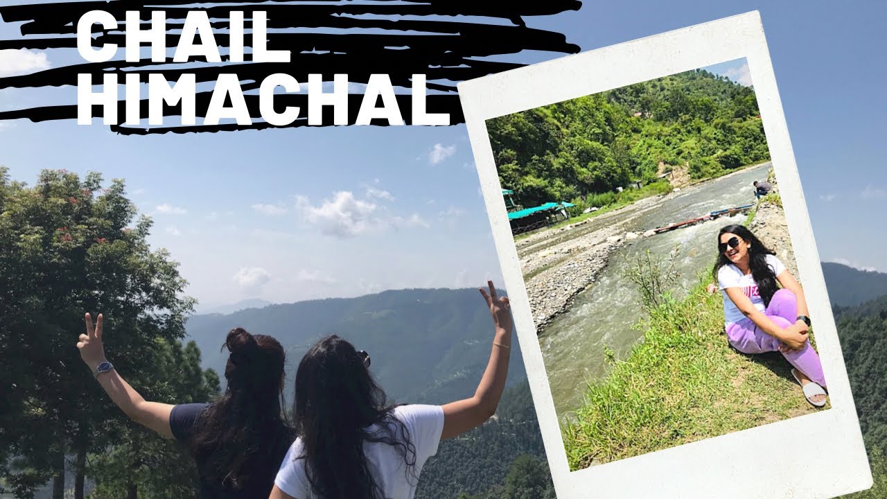 Chail Himachal Pradesh | chail hill station | one day trip to chail | tree house review