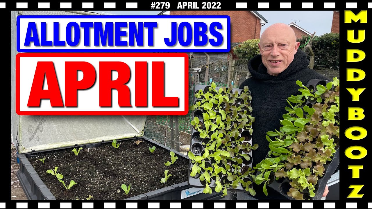 🌻279 🌻 ALLOTMENT JOBS FOR APRIL 🌻 POTATOES IN CONTAINERS 🌻