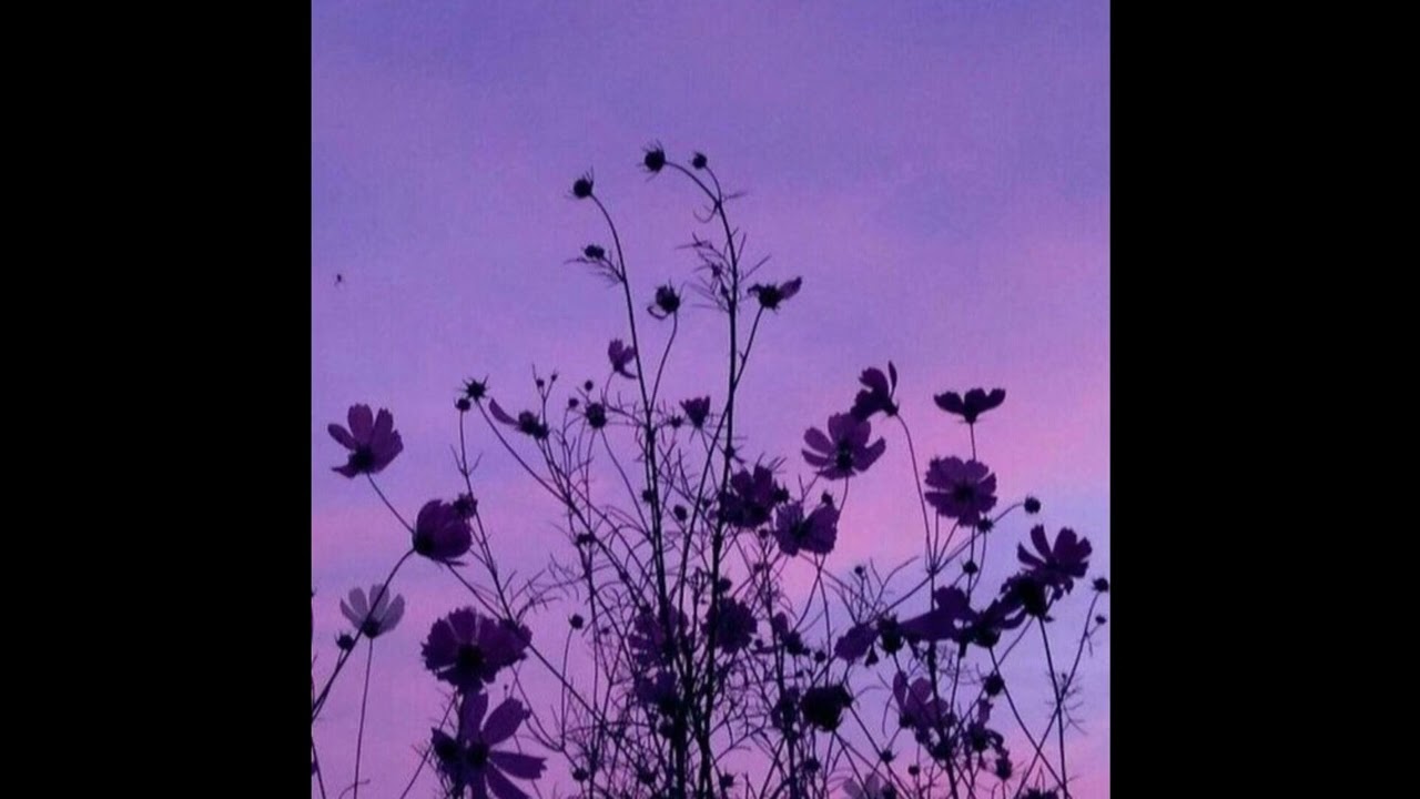 [FREE] Indie x Bedroom Pop x Dream Pop Type Beat | 