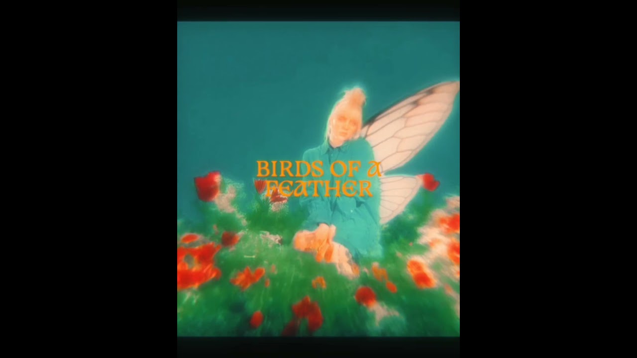 Billie Eillish - Birds of a Feather (80s Style Cover)