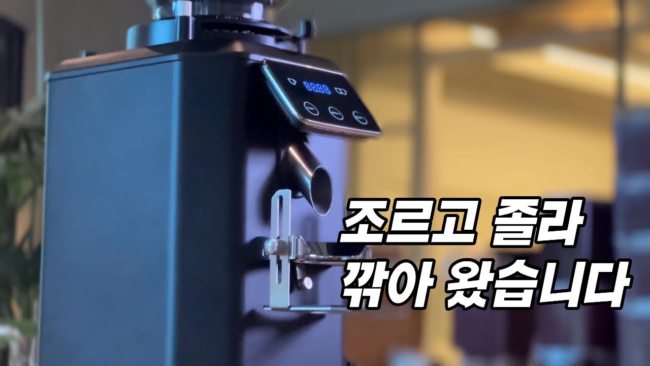 상업용 커피 그라인더 이 가격이면 지금 사야 합니다. WPM 커피 그라인더
