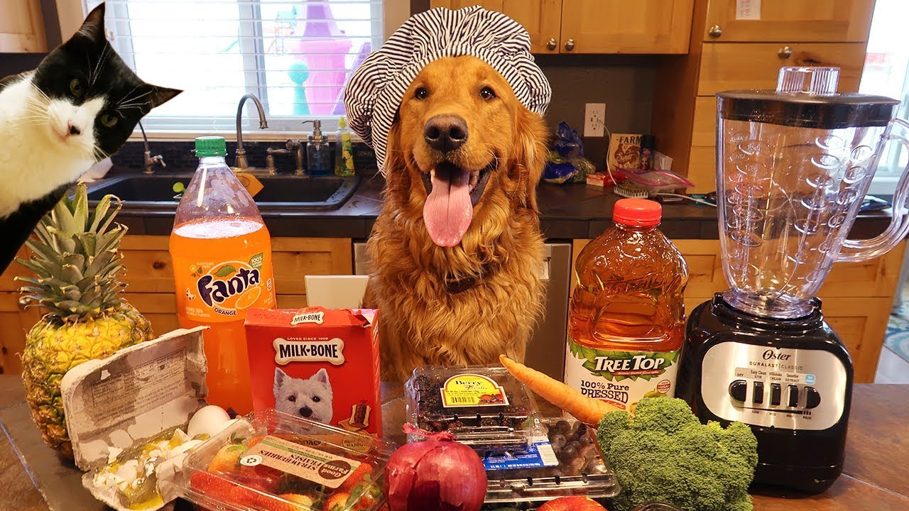 Funny Chef Dog Earl Makes Smoothies! Cat Makes A Mess