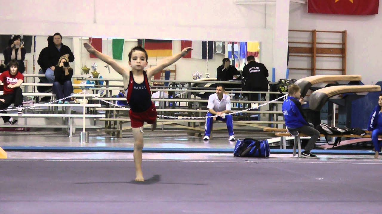 Bryce Gheisar FX 8th Level 4 4-6 yrs 2011 VLI