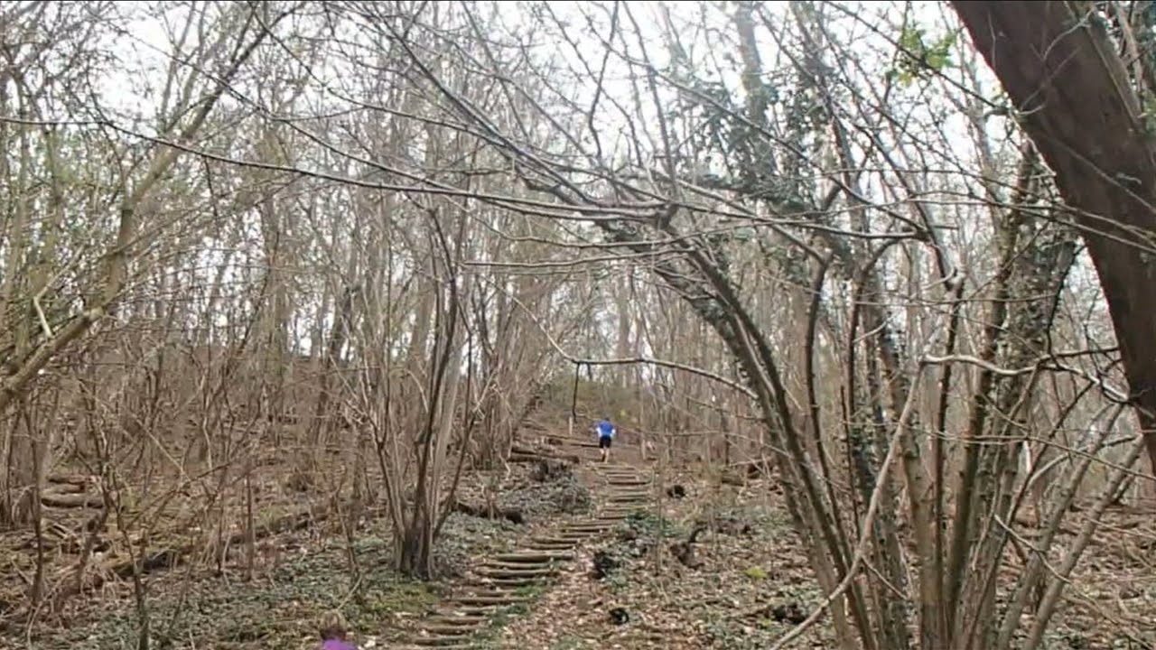 Cauberg Trail Run 2015