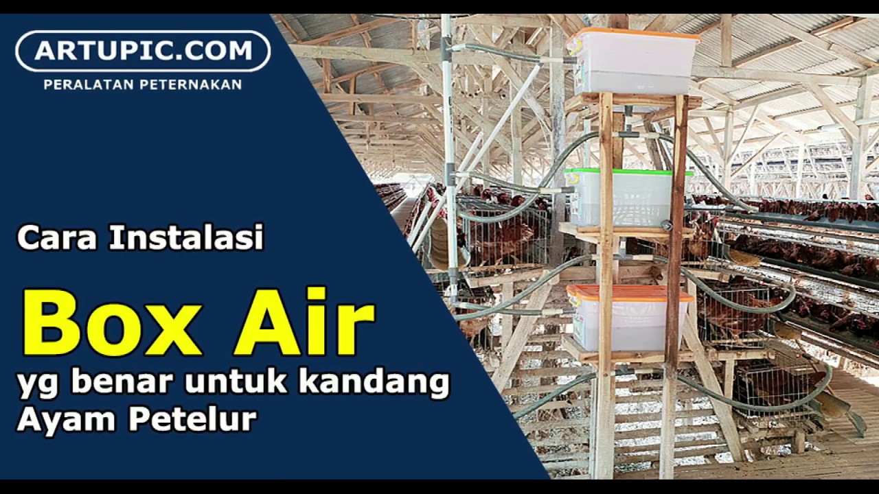 Cara instalasi Box Air yang benar untuk kandang AYAM PETELUR