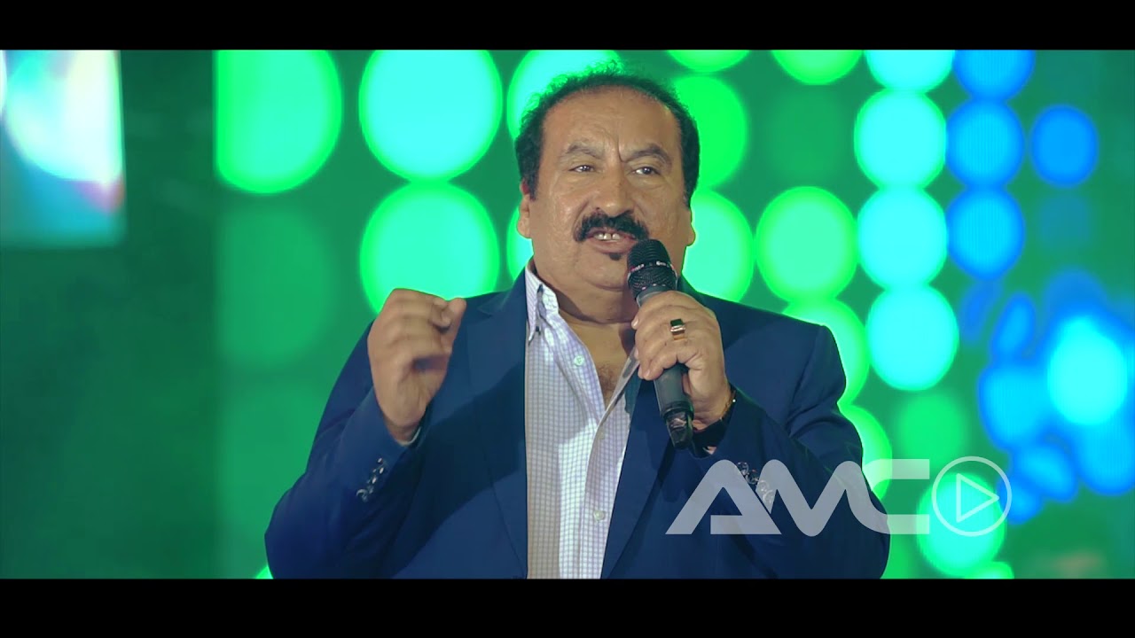 Amirjan Sabori - Bye Bye | Taraneh Nowroz Concert