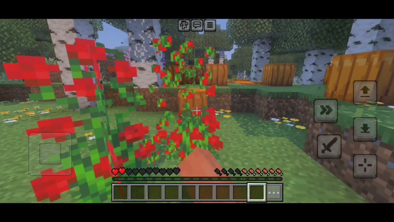 Minecraft but flowers are op