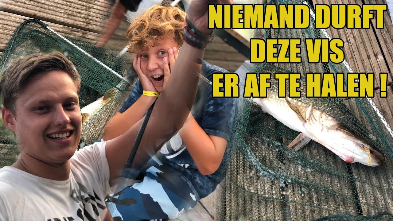 ZO VEEL VISSEN VANGEN BINNEN 1 UUR TIJD.