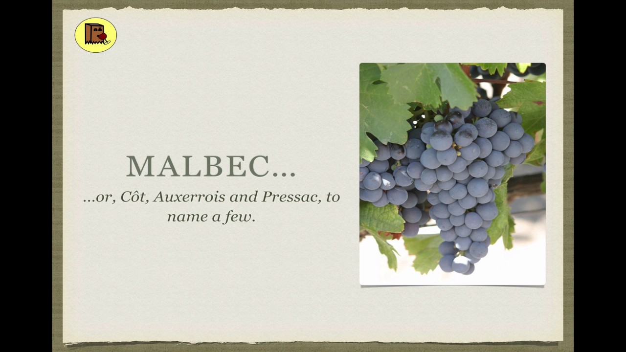 Winecast: Malbec