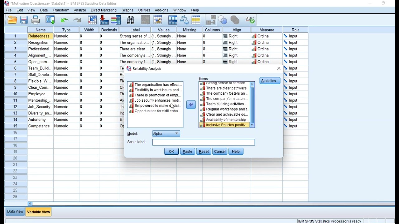 Cronbach's Alpha | How to Compute Reliability Statistics in SPSS