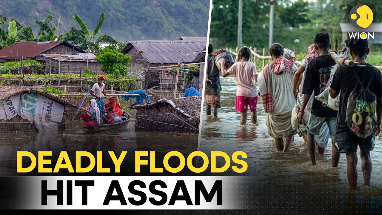 Assam Flood LIVE: Death Toll Reaches 98, Over 1.55 Lakh Remain Affected in 13 Districts | WION