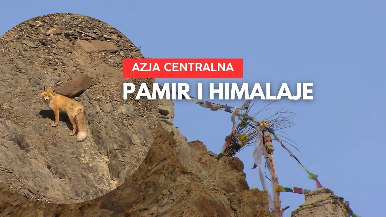 Duch Dzikiej Przyrody: Himalaje i Pamir czyli Dach Świata | Film Dokumentalny Lektor PL