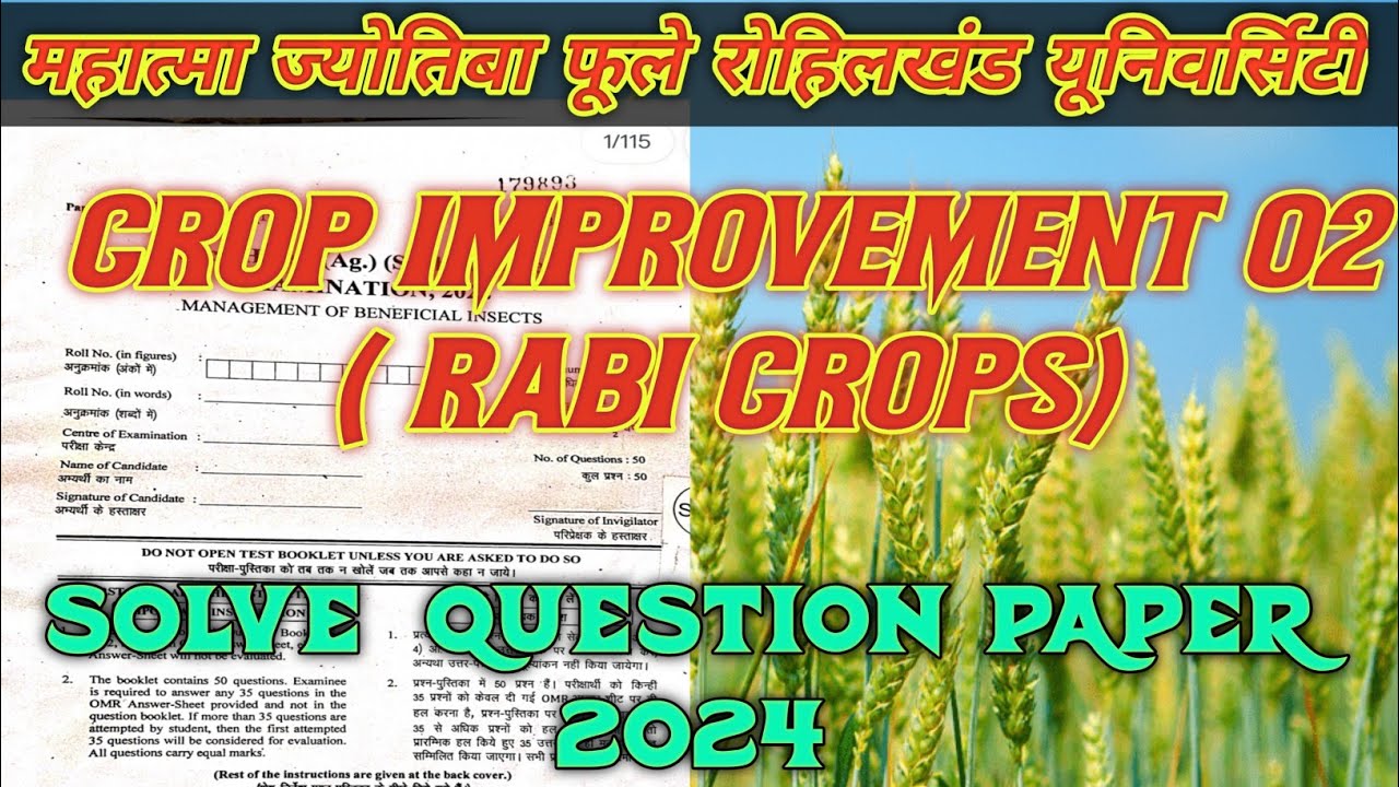 Answer Key | Crop Improvement 02 ( Rabi Crops) Paper Solution| Mjpru Bsc AG.6th Semester