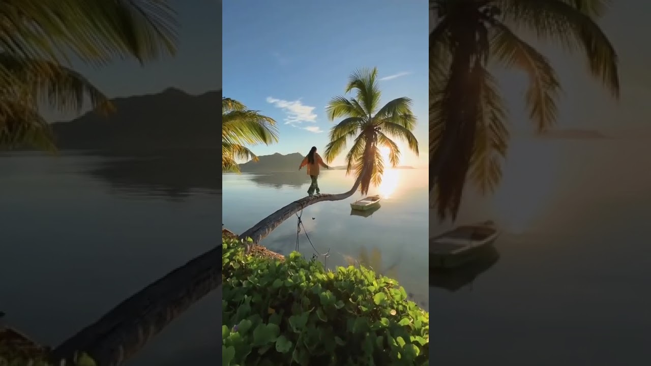 Praslin Island in Seychelles 🏖