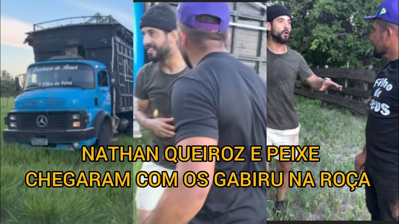 NATHAN QUEIROZ E PEIXE CHEGARAM COM OS GABIRUS NA ROÇA VEJA RESENHA