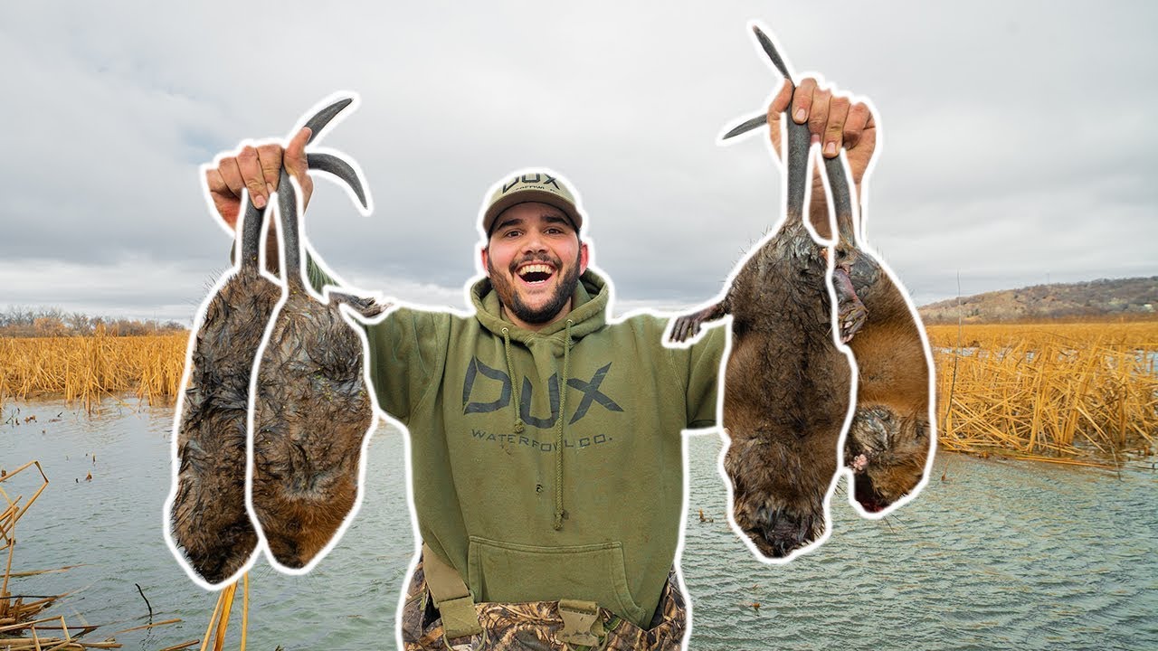 Trapping GIANT MUSKRATS at my FLOODED FARM!!! (My First Time)