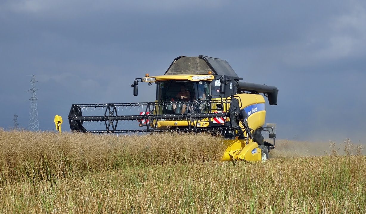 Moisson 2016 avec une New Holland CX8050