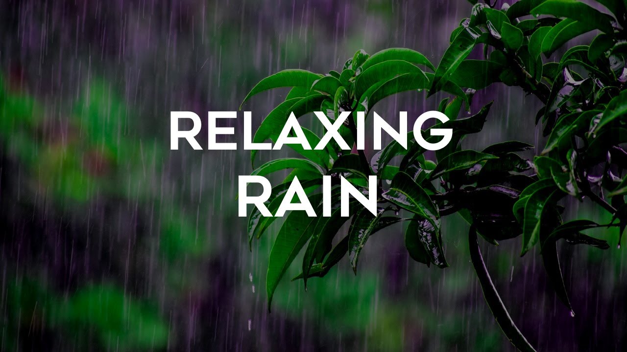 3 Hours of Gentle Rain ▸ Relaxing Rain Sounds for Sleep, Fall Asleep Faster